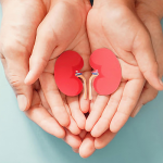 Parent holding child hands with kidneys