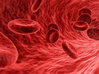 blood cells