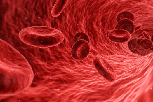 blood cells