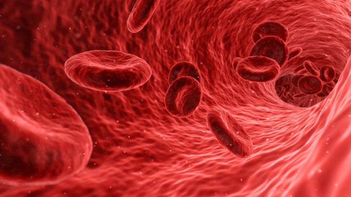blood cells