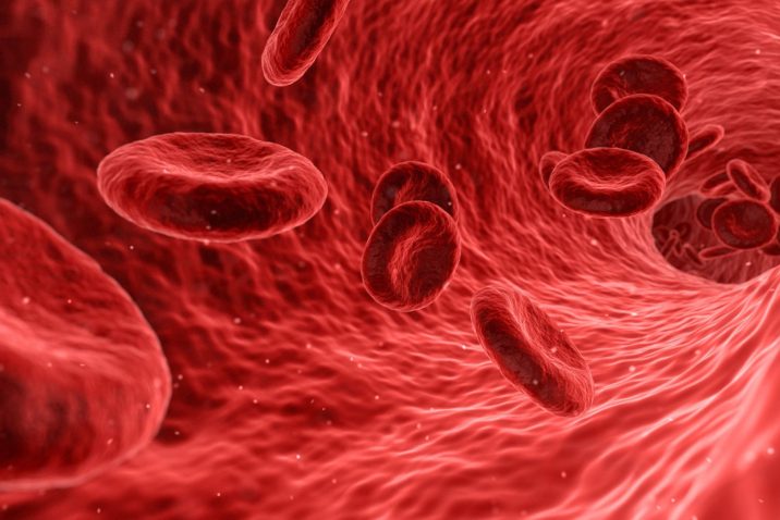 blood cells