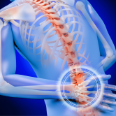 This photo is an illustration show a person holding their lower back due to pain.