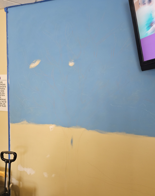 photos of wall mural