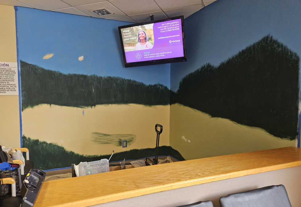 photos of wall mural