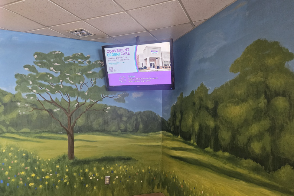 photos of wall mural